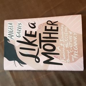 Like A Mother - Book by Angela Garbes